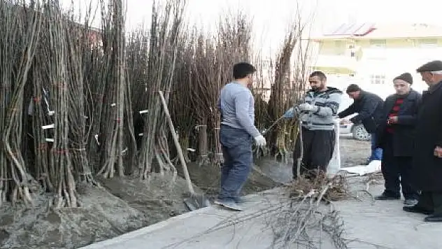 FİDAN SATIŞLARI BAŞLADI