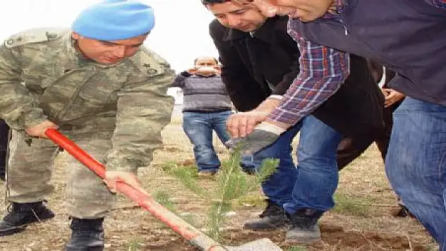 GÜRPINAR'DA AĞAÇLANDIRMA ÇALIŞMALARI