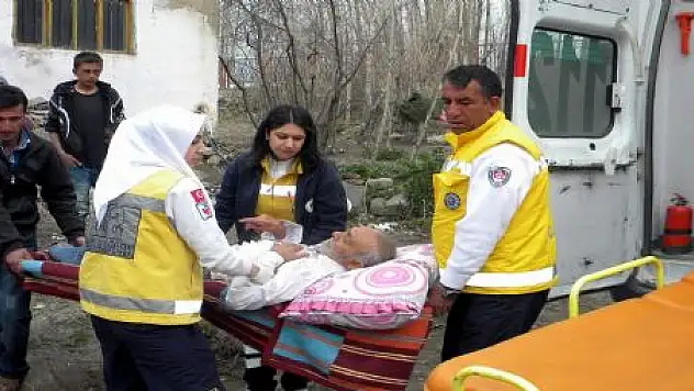 GÖNÜL ELÇİLERİ İŞ BAŞINDA