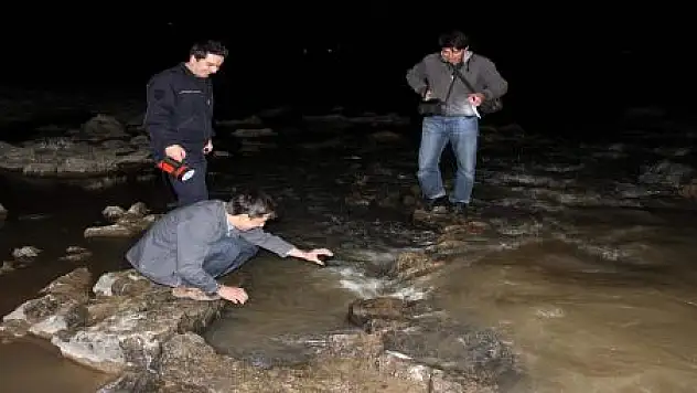 BALIKLARIN GECE YOLCULUĞU