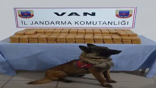 VAN'DA EROİN OPERASYONU