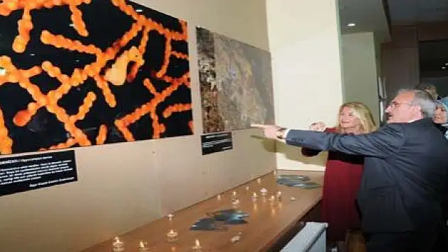 DERİN TUTKU SERGİSİ AÇILDI