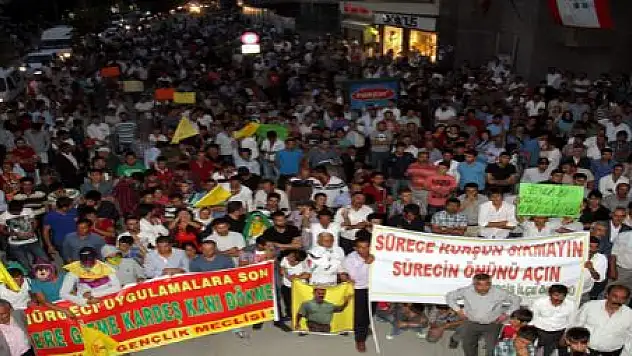 BDP'DEN HÜKÜMET ADIM AT YÜRÜYÜŞÜ