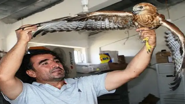 YABAN HAYVANLAR DOĞAYA BIRAKILDI