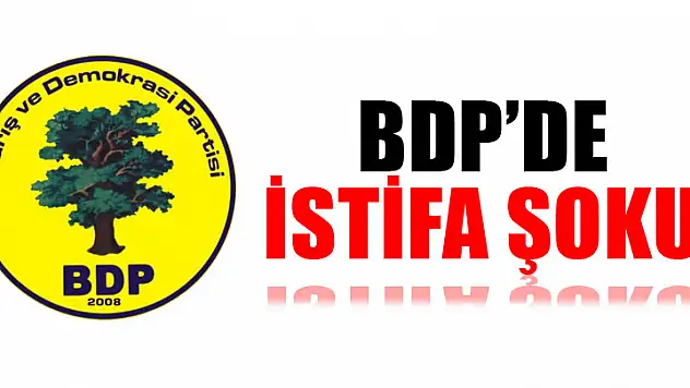 BDPLİ 3 MİLLETVEKİLİ İSTİFA ETTİ 