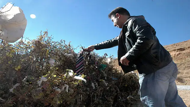  DAĞ BAŞINDA DİLEK AĞACI