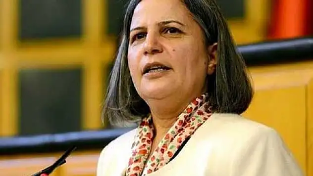 BDP'nin Diyarbakır  adayı Kışanak