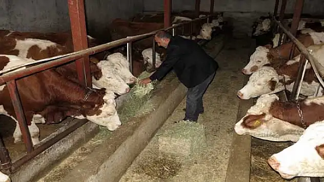  DAKADA BAŞARI ÖYKÜLERİ