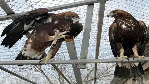 ONLARIN ARTIK BİR MERKEZİ VAR !