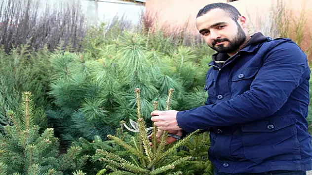 VANDA FİDAN SATIŞLARI BAŞLADI