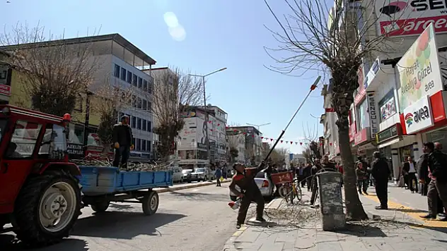 BELEDİYE'DEN YAZ HAZIRLIĞI