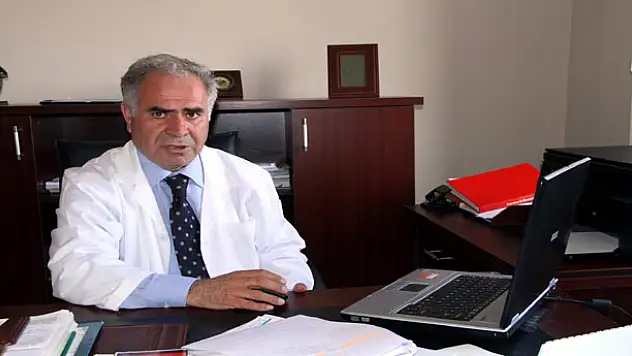 Van Kedisi Sayısında Artış Var 