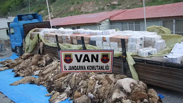 VANDA SİGARA KAÇAKÇILIĞI 