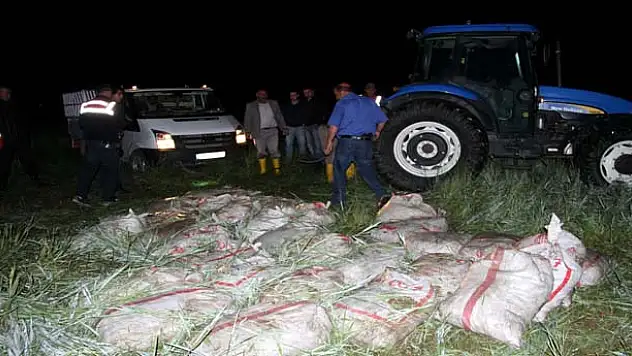 MURADİYE'DE KAÇAK BALIK OPERASYONU