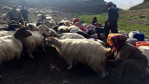 BERİVAN'LAR YAYLALARA ÇIKTI