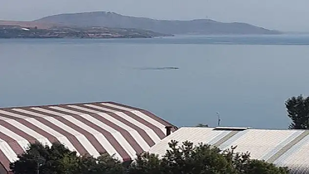 Vangölü Canavarı Ortaya Çıktı
