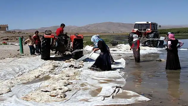 Kadınların Yün Yıkama Telaşı 