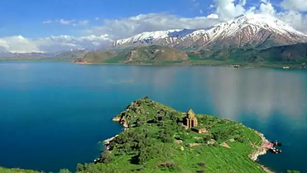 Soğanda: Vangölü Koruma Yasası Çıkartılmalı 