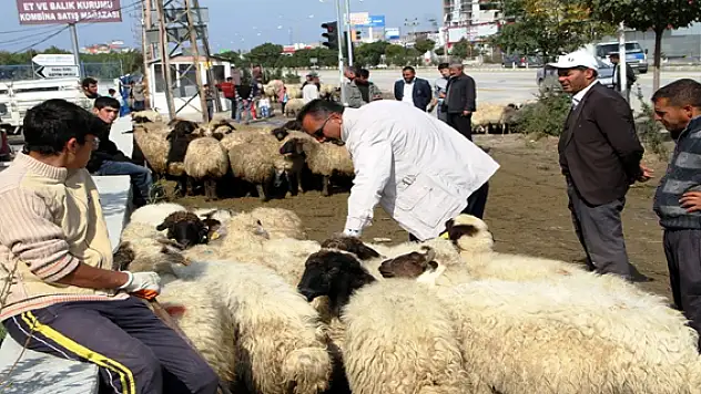 Kurbanlıklar Elde Kaldı