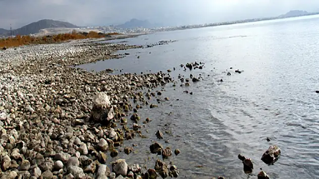 Vangölü Her Yıl Küçülüyor