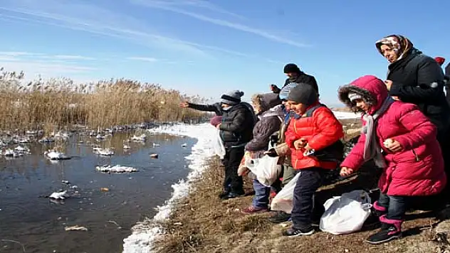 Öğrenciler Yaban Hayvanları İçin Yem Bıraktı