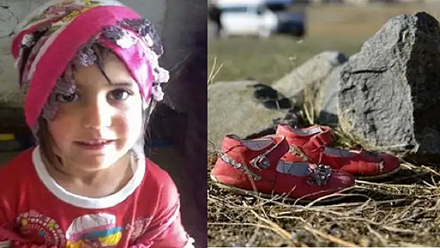 Van Valiliğinden Nehir Aslan Açıklaması