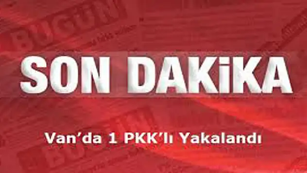 Van'da 1 Pkk'lı Yakalandı
