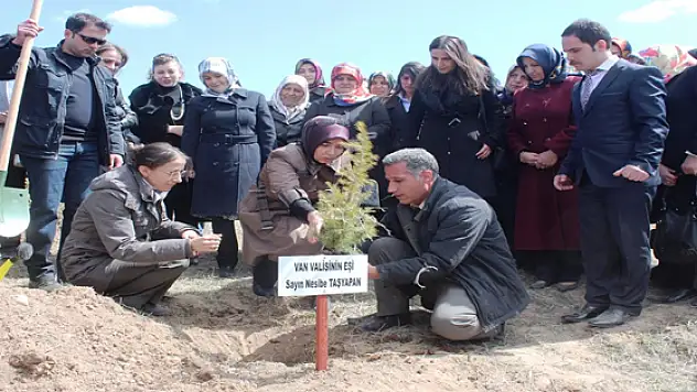 Van'da Fidan Dikimi