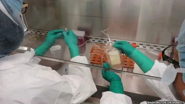 Kanserde kişiye özel aşı umudu