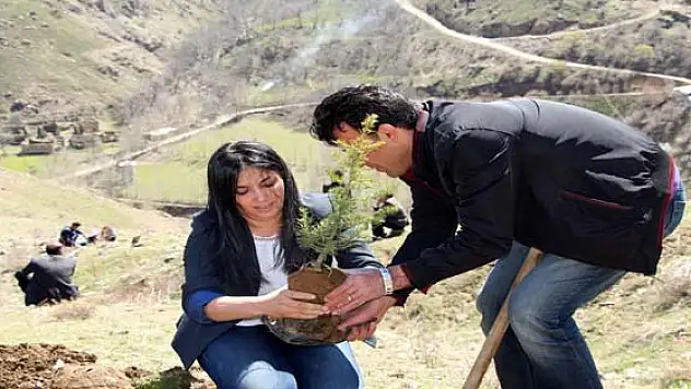 Çatak Belediyesi'nden Fidan Dikimi 