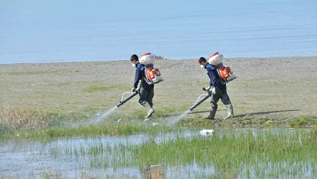 Tuşba'da sivrisinekle mücadele çalışması