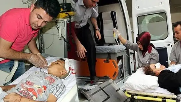 Van'da Başıboş Köpek 30 Kişiyi Isırdı