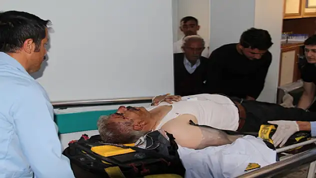 Başkale'de Trafik Kazası