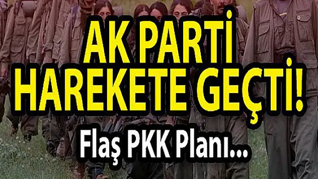 AK Parti'den PKK'ya karşı flaş plan