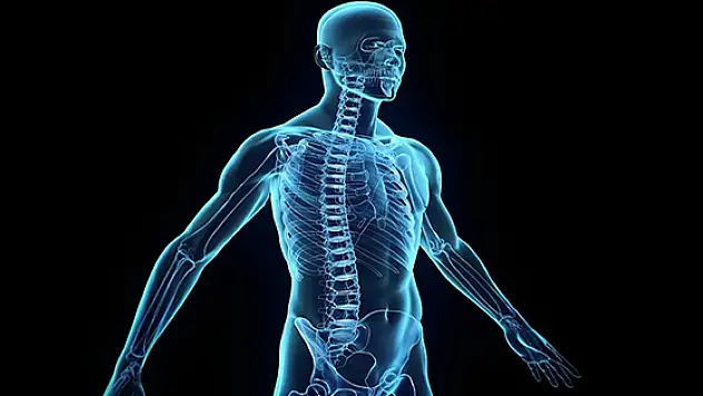 İnsan vücuduna dair şaşırtıcı gerçekler!