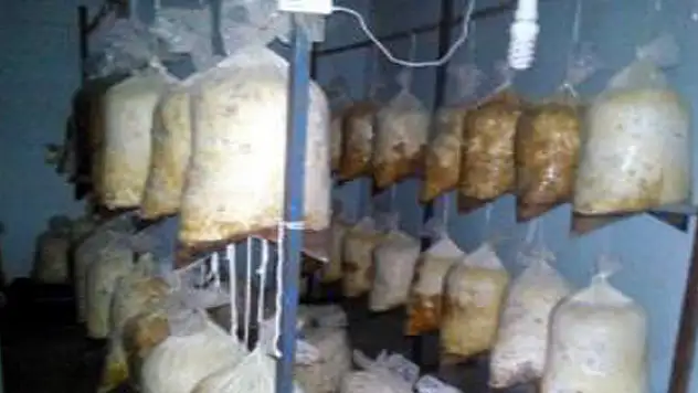 Diyarbakırı Yok Edecek Kadar Bomba Yakalandı