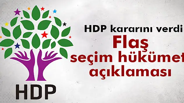 HDP: 'Seçim hükümetinden kaçınmayacağız'
