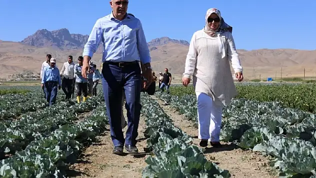 Gürpınar Belediyesinden Açık Sera Hizmeti