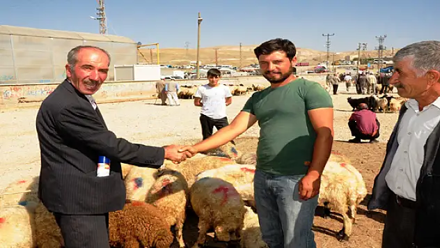 Van'da Kurbanlıklar Görücüye Çıktı