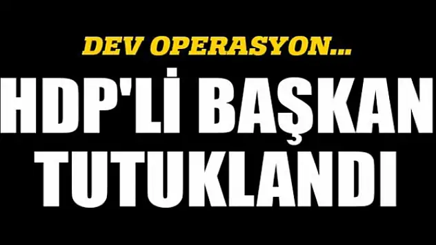 HDP'li Başkan tutuklandı