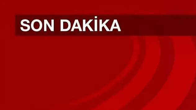 Çaldıran'da 96 El Bombası Ele Geçirildi