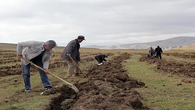 Badem Yetiştiriciliği Projesi Başladı