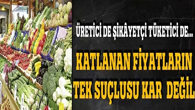 Katlanan fiyatların tek suçlusu kar değil
