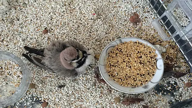 Duyarlı Hocadan Örnek Davranış 