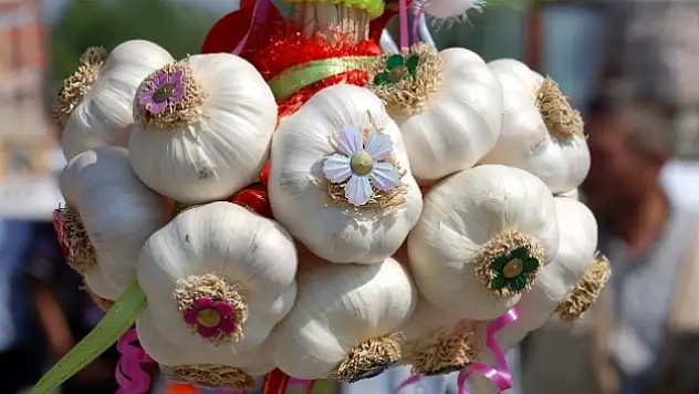 Sarımsak son 5 yılın zirvesine çıktı