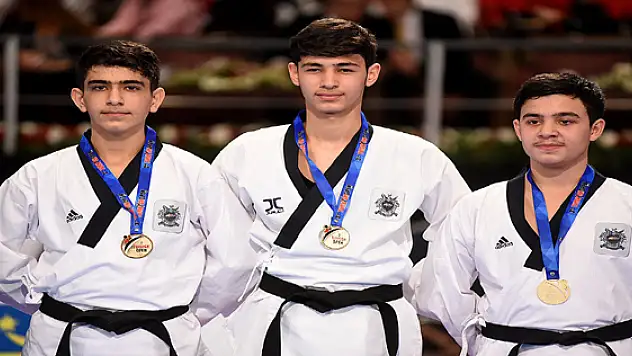 Vanlı Tekvandocular Şampiyonlukla Döndüler