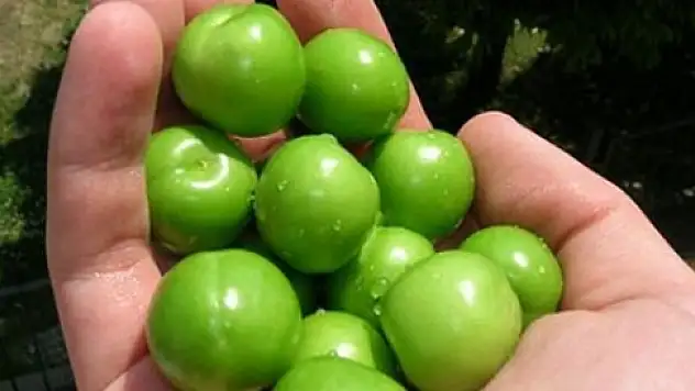 Eriğin kilosu 300 lira