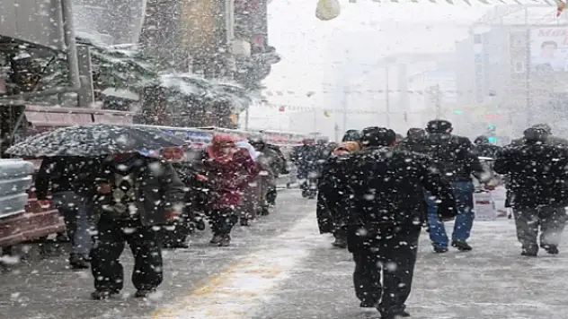 Vanda Lapa Lapa Kar Yağdı