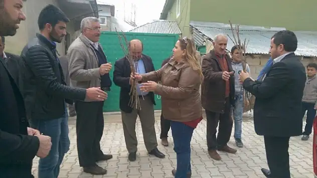 İpekyolu Belediyesinden 750 Aileye Üzüm Fidesi
