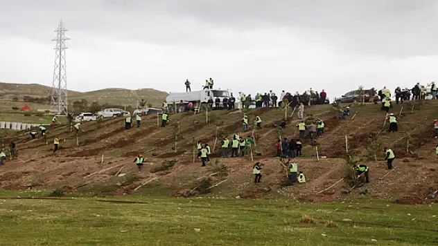 İpekyolunda 50 Bin Ağacın Dikimine Başlandı